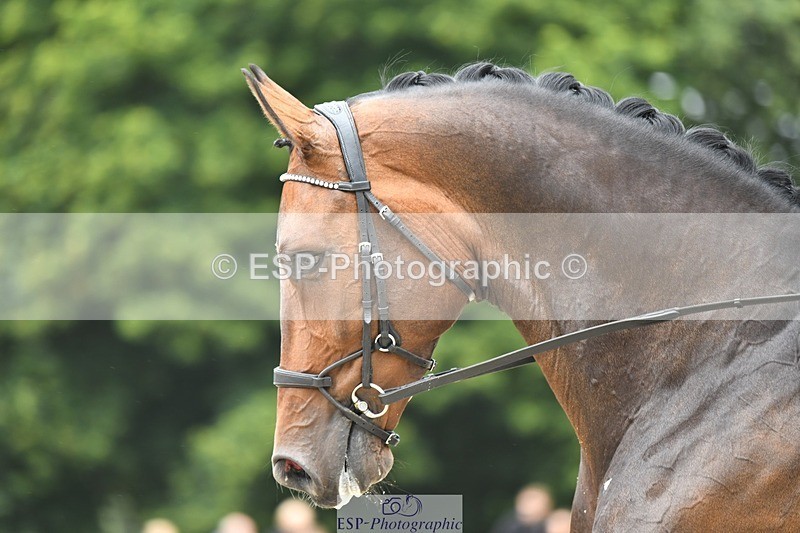 230812-124801-04222 - Cls 6 Novice Silver 12.10 to End