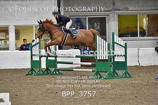 BPP_3757 - FRI CLASS 21 BR NOVICE/90CM