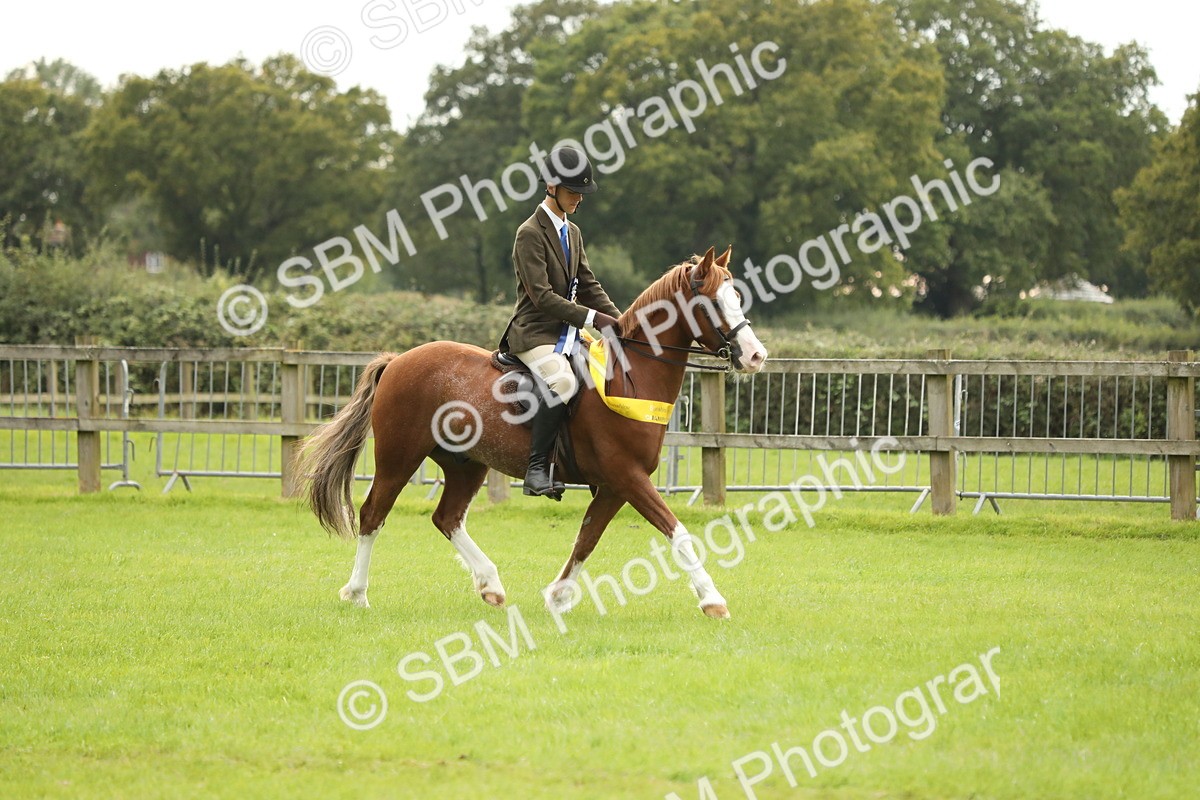 SBM_75434 - Equitation Supreme Championship