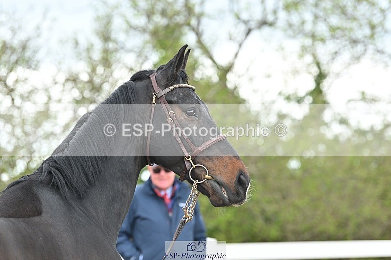 250423-130555-00440 - 1pm to 2pm