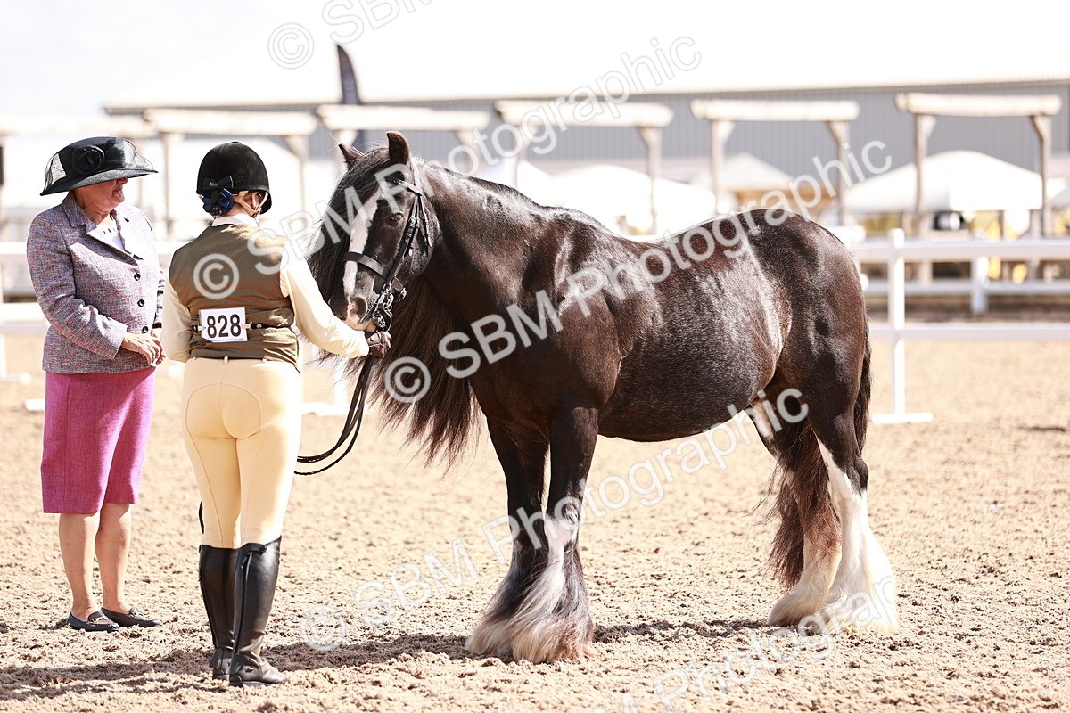 SBM_22989 - Class 707 - IH groom Helpers Class
