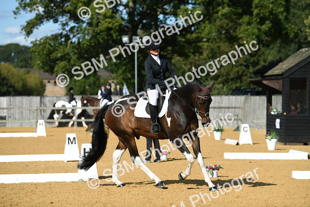 SBM_27008 - D16 - Small Tour Championship - Novice 28