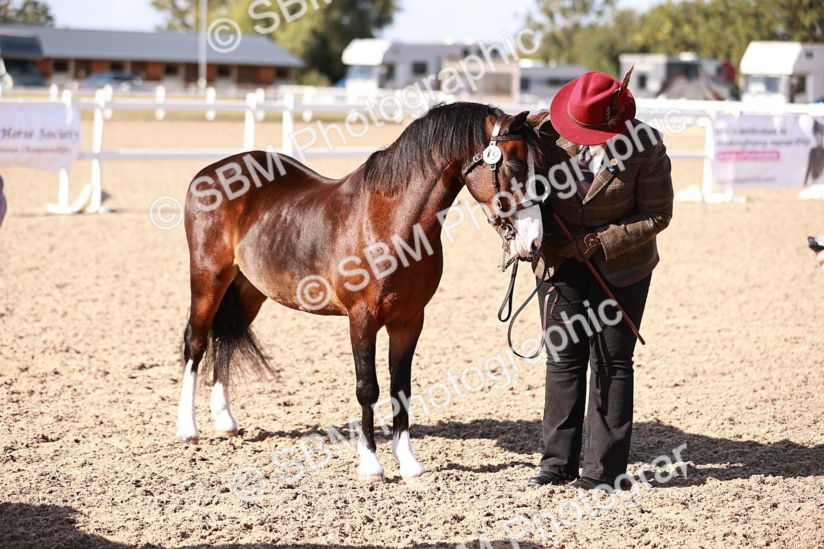 SBM_22727 - Class 704 - IH  Rescue