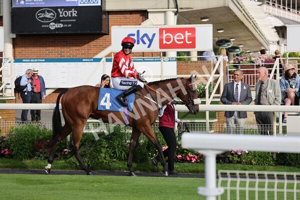 yr23072021r3-14 - Race 3 7.00pm The JKH 80th Birthday Celebration EBF Novice Median Auction Stakes (Plus 10 Race)