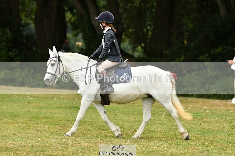 250820A-122024-05576 - 12 to 13.00