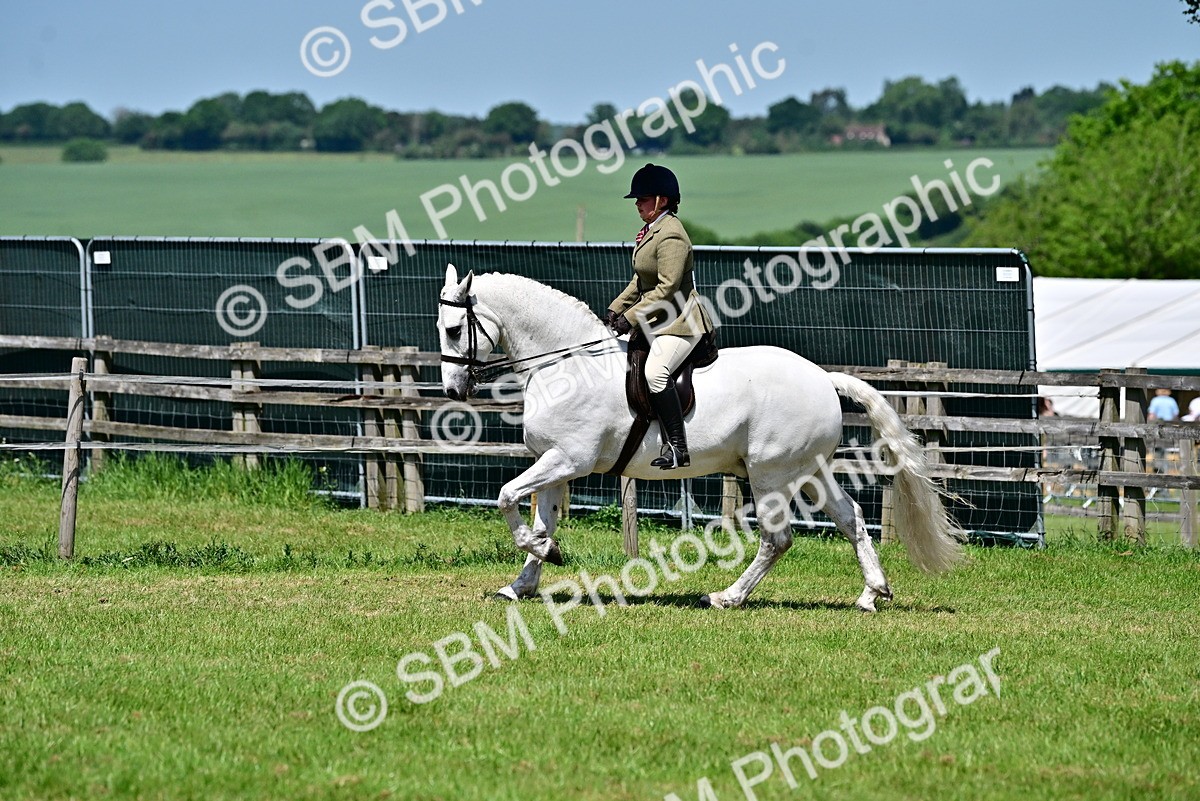 SBM_17487 - Class 95-97 - BSPS LHS Performance Ponies