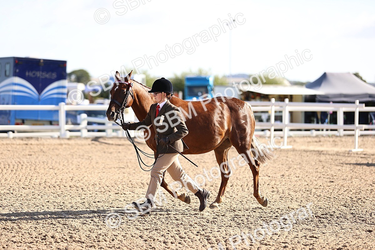 SBM_08508 - Class 402 - IH Veteran Pony