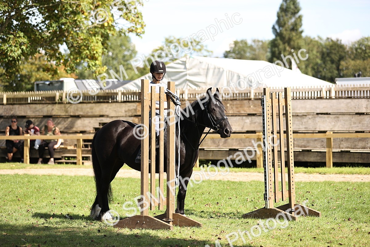SBM_23022 - S4 - Have a Go at Working Equitation