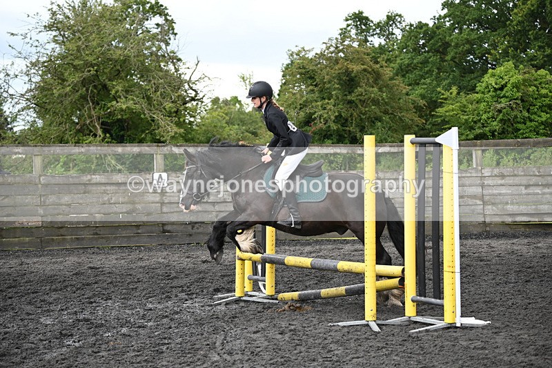 WJ6_0060 - Class 13 Novice 60cm