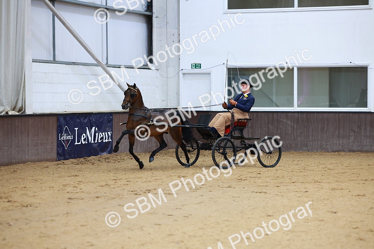 SBM_000656 - Class 9 - HHS Championship Intl Hackney Pony to a Showwagon