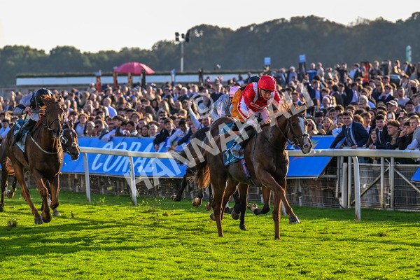 111025-Race 6-Berkshire Sundance-0635 - Race 6 Coral Racing Club Stayers Handicap at York