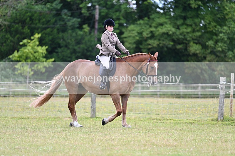 WJ7_9071 - Class 8 Ridden Veterans
