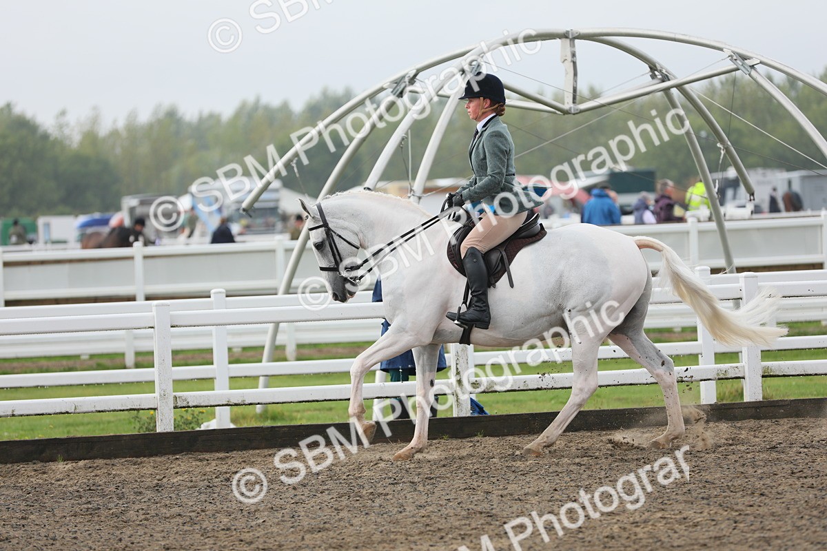 SBM_21279 - Class 805 - Ridden Veteran Horse