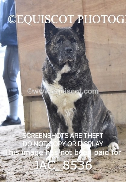 JAC_8536 - CLASS 9 LARGE OPEN 1M