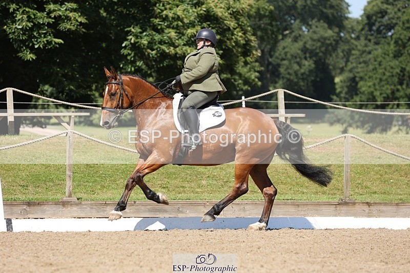 240719-105428-00817 - 169-Marion_Eaves-Indigo_Queen_of_Hearts