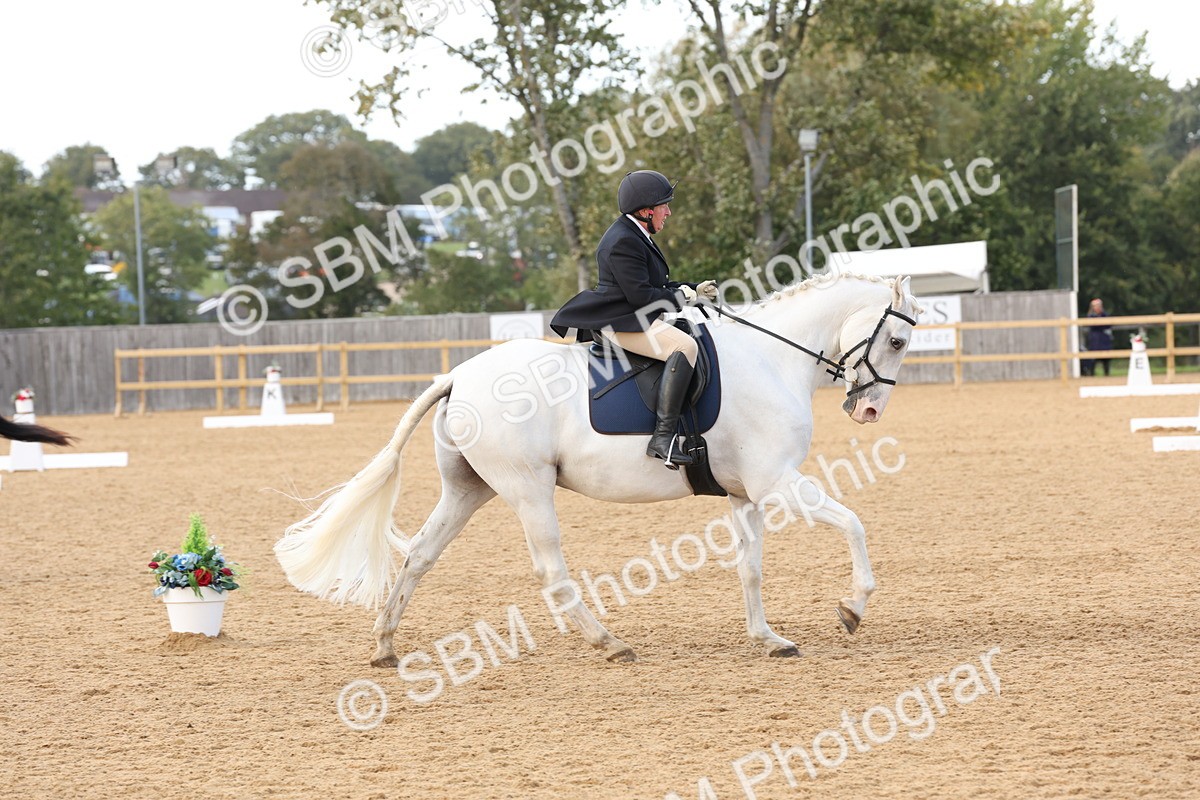 SBM_28291 - D20 - Grand Tour Championship Elementary 3
