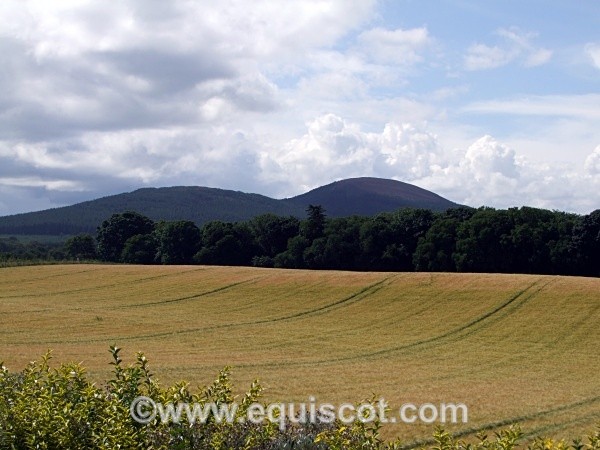 Bin Hill, Cullen, Scotland - Wildlife & Landscape
