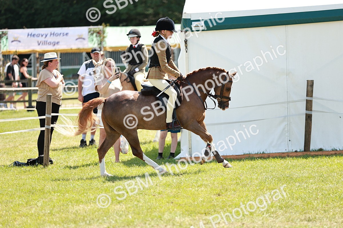 SBM_15651 - Class 108-109 - BSPS LIHS Open Gradle & Nursery Stakes
