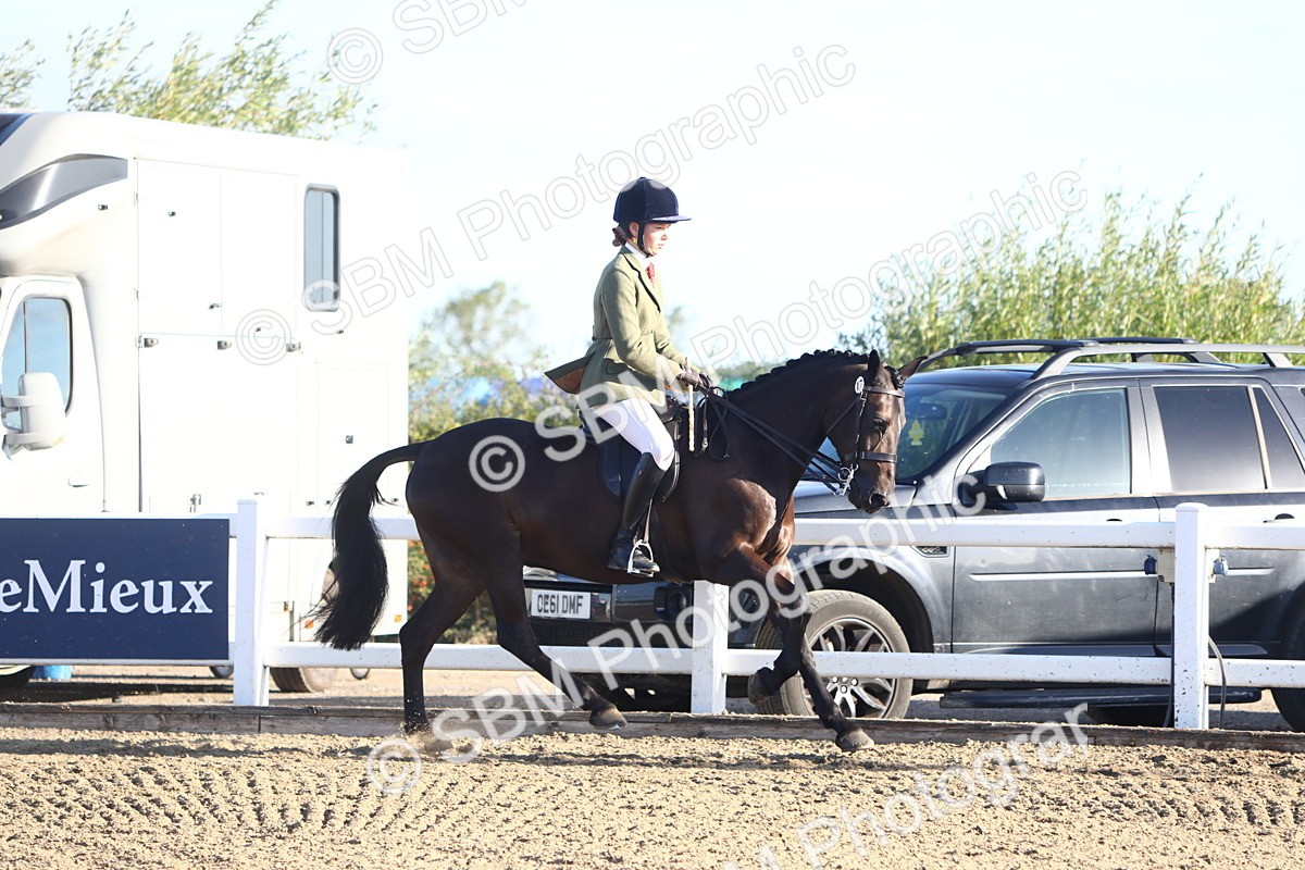 SBM_07875 - Class 501 - Riding Club Pony