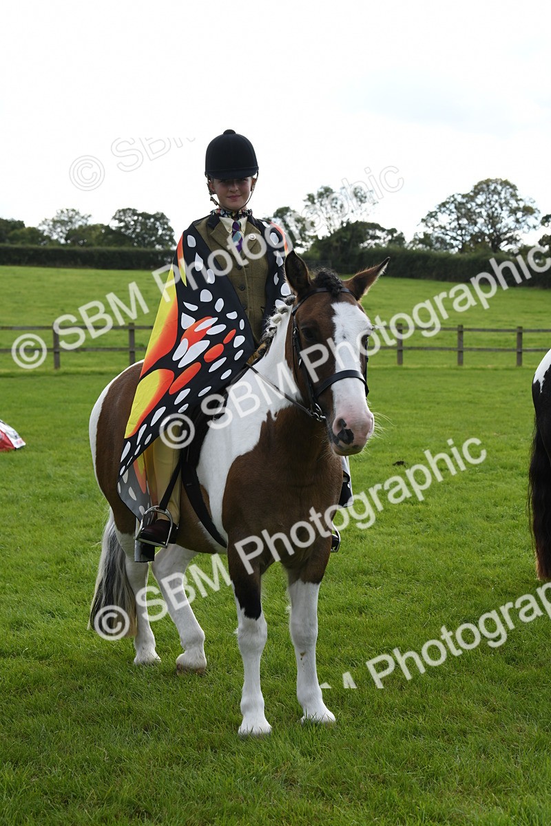 SBM_47232 - S12 - Family Horse & Pony