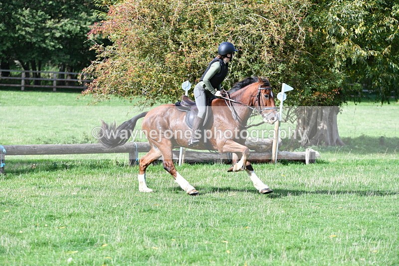 WJ5_7935 - Time 10:31 to 12:01