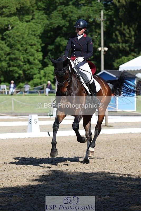 230526-094348-05144 - 357-VIVENDI_HERO-Saffron_Cresswell-WEDTrotUp+DR