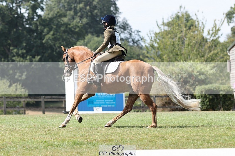 250823A-135635-31405 - Arena D