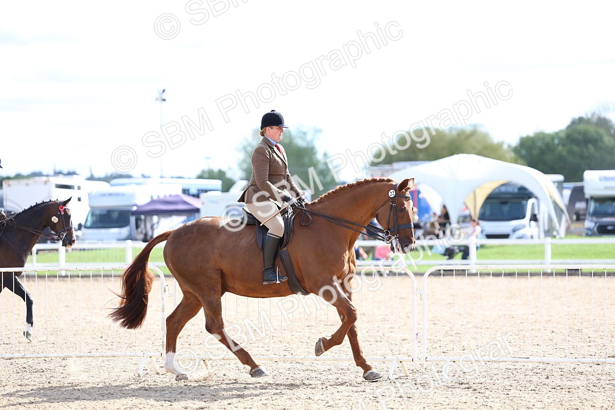 SBM_17113 - Class 315 - Best Horse - Rider Combination