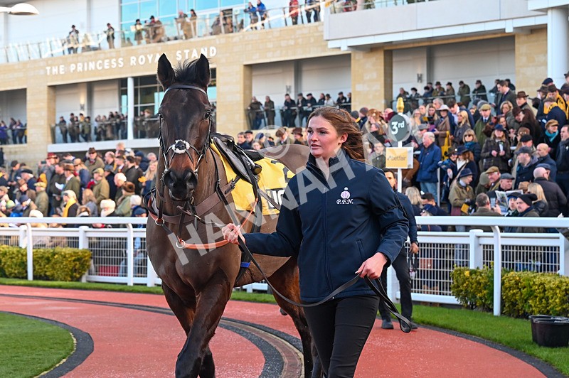 250125-Race 2-Sauvignon-3027 - Race 2