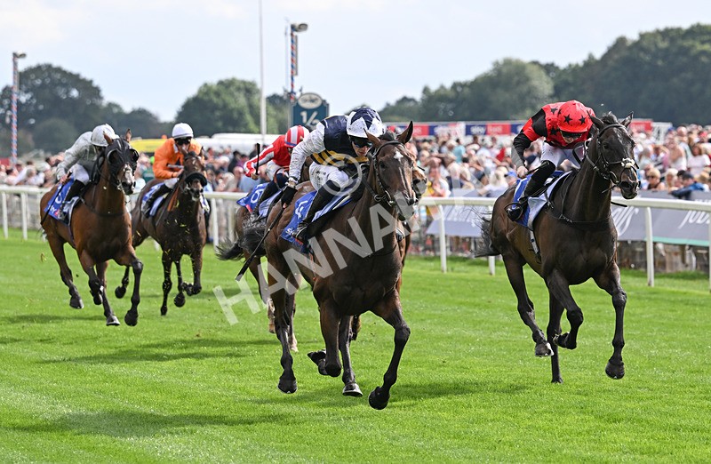 190826-183 Small Fry - Race 5 16.10pm Sky Bet Stayers Handicap