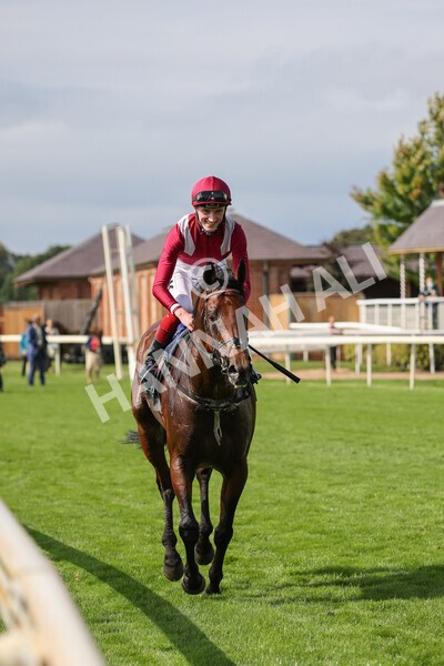 yr18082021r4-99 - Race 4 3.35pm Juddmonte International Stakes (British Champion Series race)