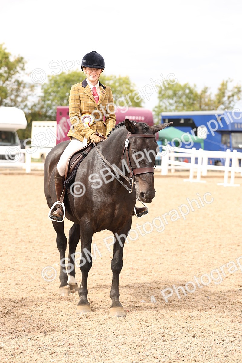 SBM_16531 - Class 212 - Ridden Hunter - Small