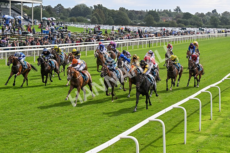 060926-Race 2-Oriental Prince-0106 - Race 2 2.05pm Fine Details Car Valeting Sprint Handicap
