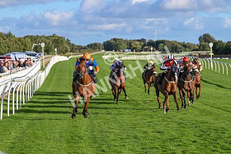 100924-Race 8-Homer Stokes-0865 - Race 8