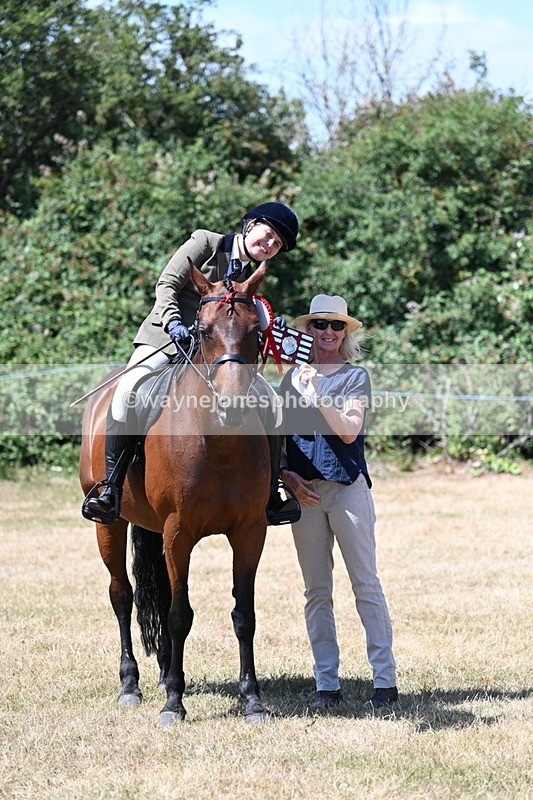 WJ7_3166 - Class 7 Riding Club Show Horse