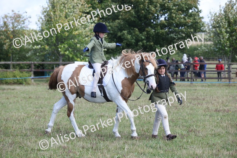 20250831-2460 - Class 16 - Family Pony