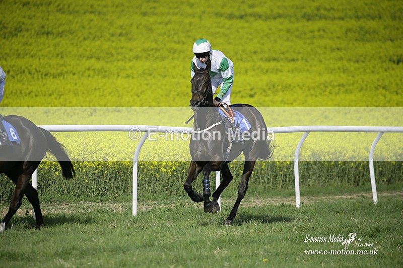 PtP 180422 237 - Old Berkshire PtP Lockinge 18/04/22