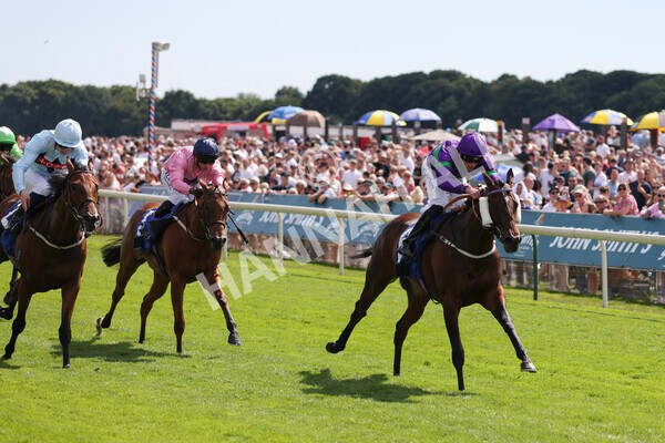 yr09072022r4-15 - Race 4 3.30pm John Smith's Nursery Stakes