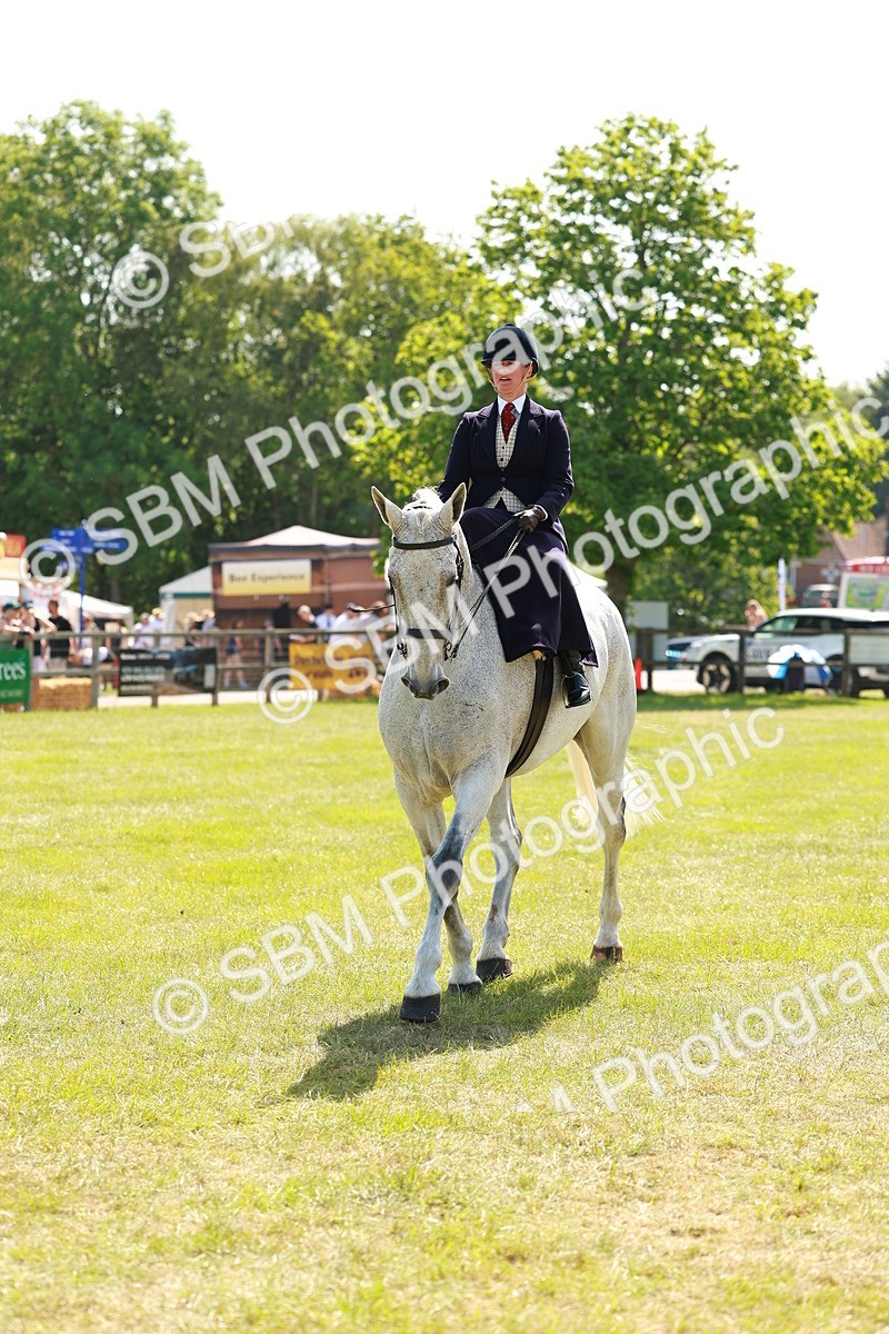 SBM_13366 - Class 70-71 - Side Saddle