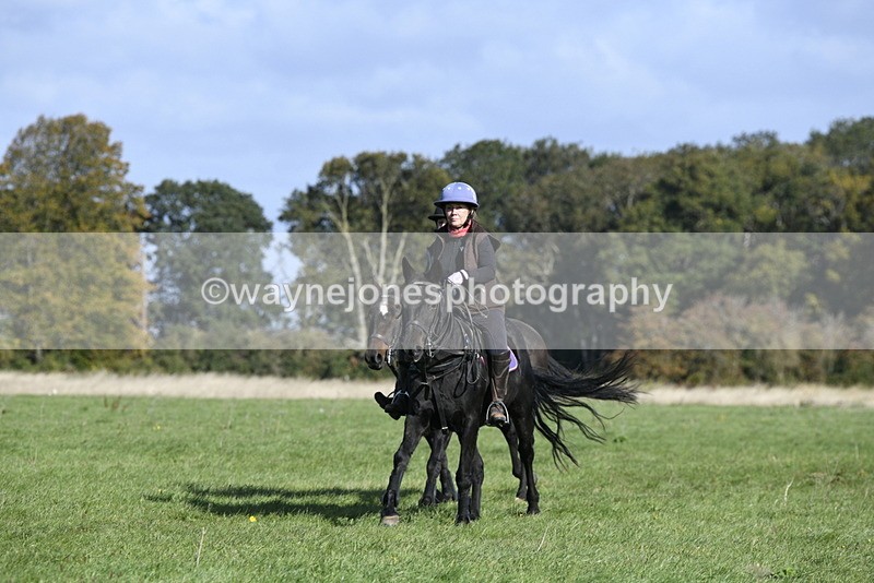 _DSC5311 - Time 10:49 to 11:23