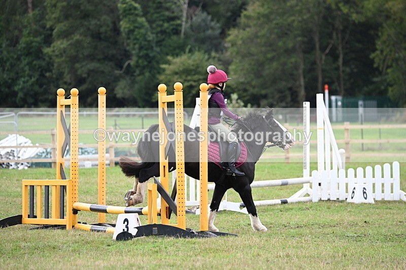 WJ6_0177 - 40cm Time 10:00 to 10:28