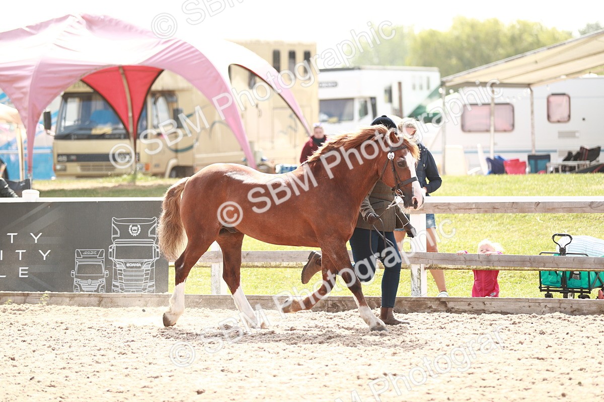 SBM_13860 - Class 209 IH Veteran Pony