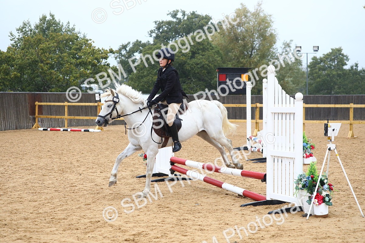 SBM_71681 - J4 - Mini Tour Junior Pony 45cm Championship