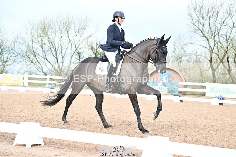 240218A-115805-06937 - 204-Elder.Klatzko-Dynasty.Hit