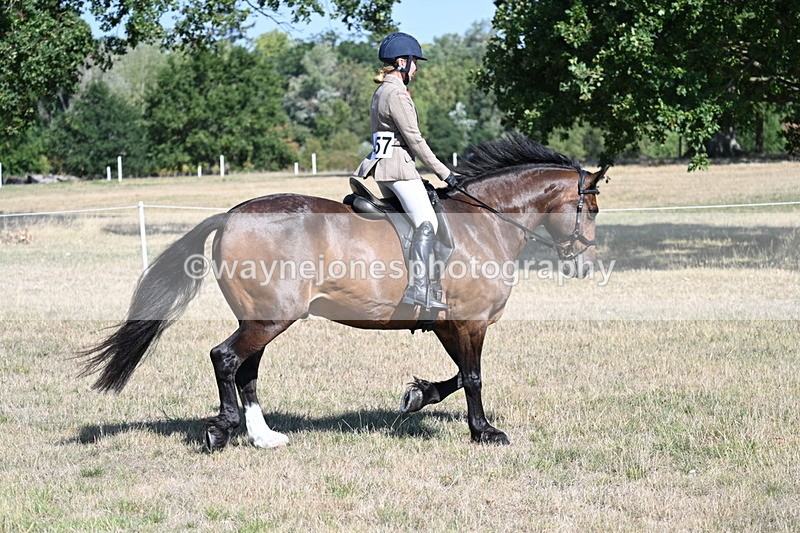 WJ7_3952 - Class 9 Mountain & Moorland Ridden