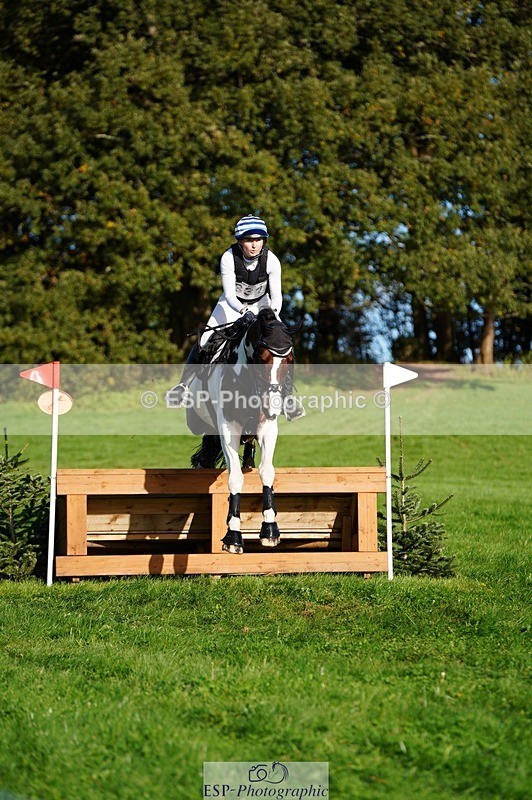 241026-103652-11969 - 331-Amber.Williams-COSMIC.MIKADO