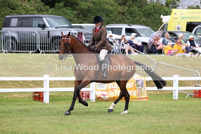 3E7A0964 - Class 8: Open Riding Horse/Hack