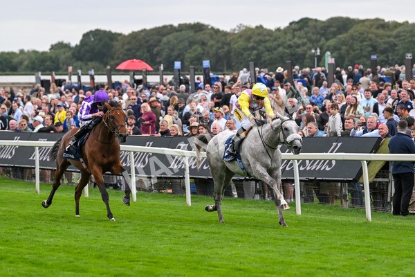 200825-Race 2-Gewan-1285 - Race 2 2.25pm Tattersalls Acomb Stakes