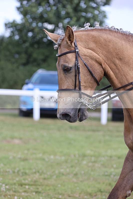 JPP_1224 - Class 17: Cornish Combination Open