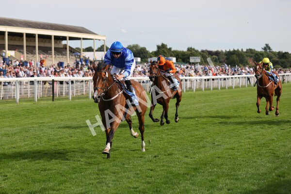 yr08072022r7-15 - Race 7 5.30pm Jigsaw Sports Branding Handicap